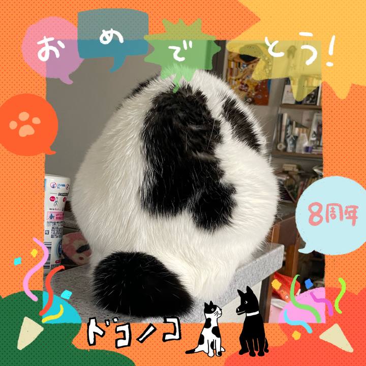 E5cc8571 b1d5 4a8d ba3f ae4d977c895b 1717767086358