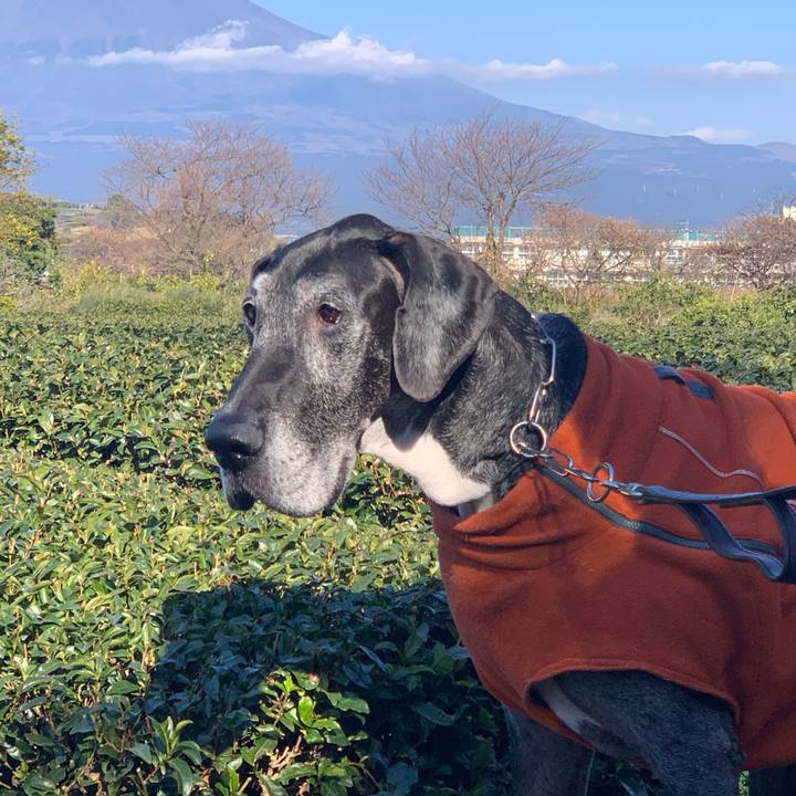 E5ccb176 d3df 456f 9982 4a509c3819b4 1609061379957