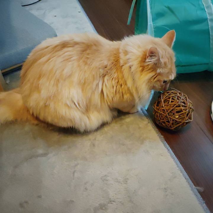 E5ccbdfb 6e7a 4160 87c9 7317984aa21d 1655330103293