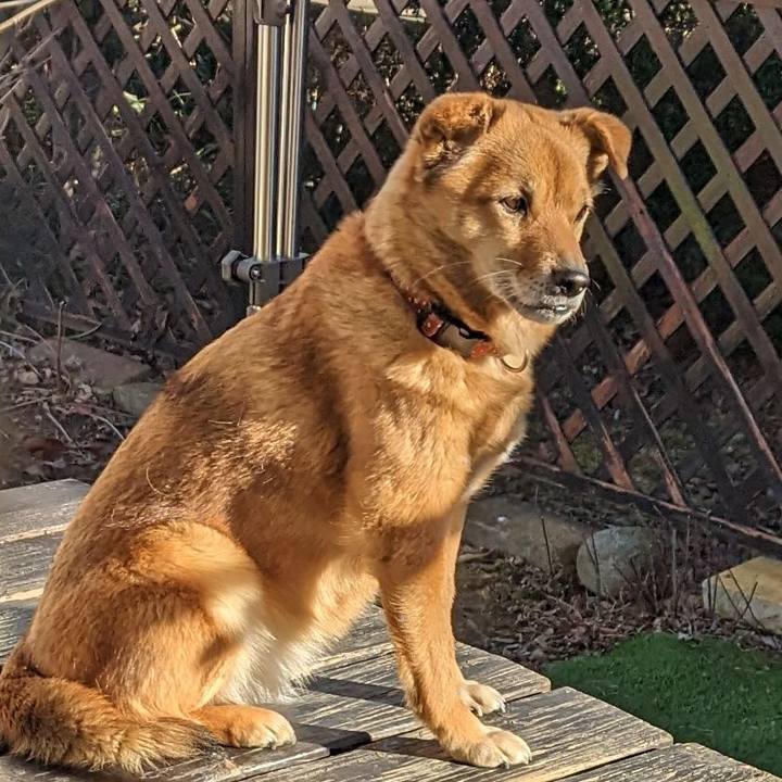 E5cd15fa 3ec1 45ae 9973 e783ee5a0f91 1677410659061