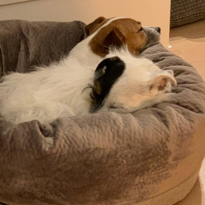 E5cd2594 d678 48d5 b3ea d843596f44a0 1583674089112