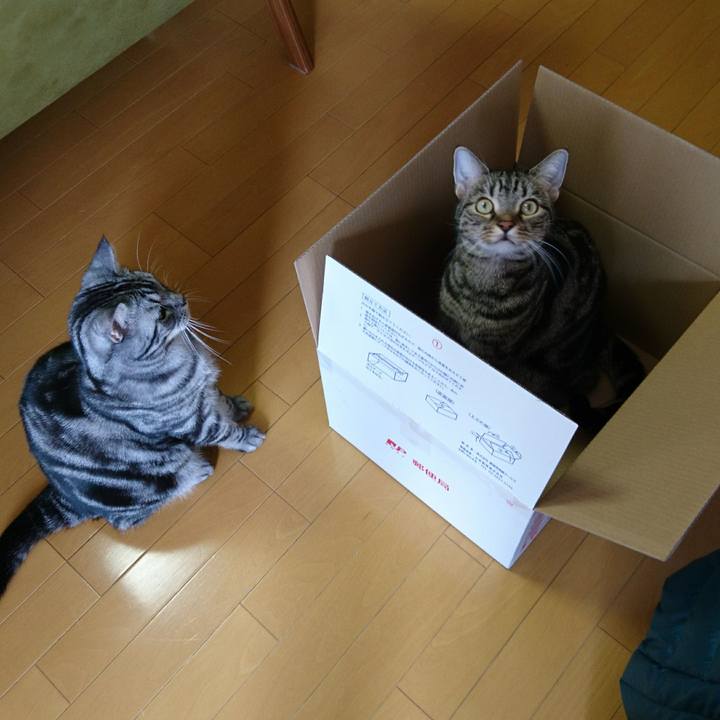 E5cd3228 19ce 43c3 a9ec fb34449fad0a 1509634424124