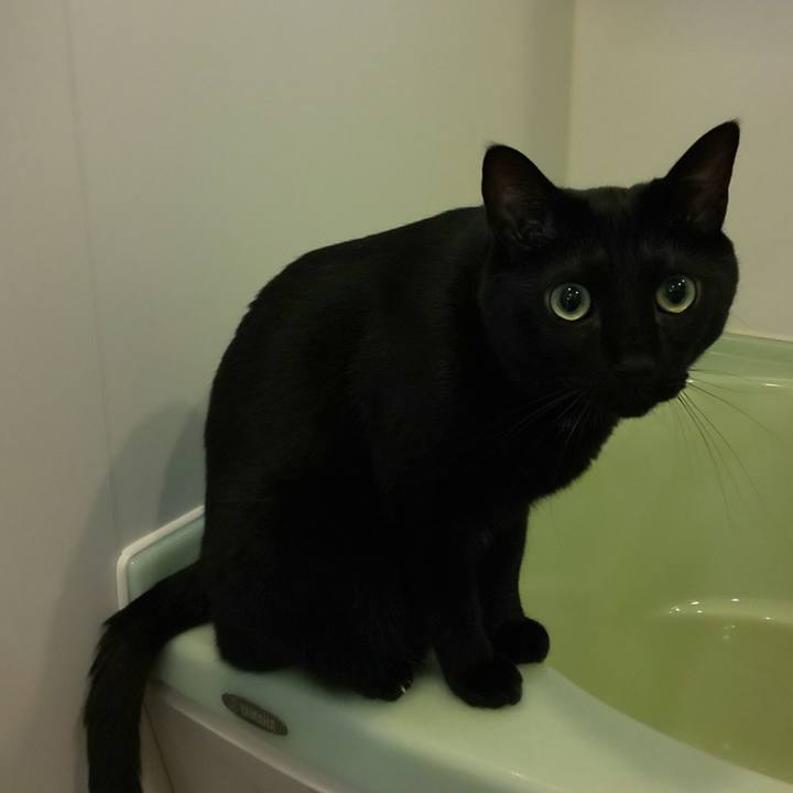 E5cd4b09 577f 46de 83a9 24dbbf4eddd4 1662171097899