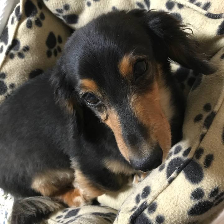 E5cd5adf fa7a 46d1 9c96 fa7942af5a00 1527199945824