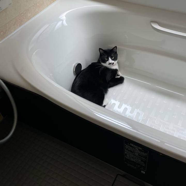 E5cd6e1e 5330 4695 af3b b8e8f0f3dd32 1652578530512