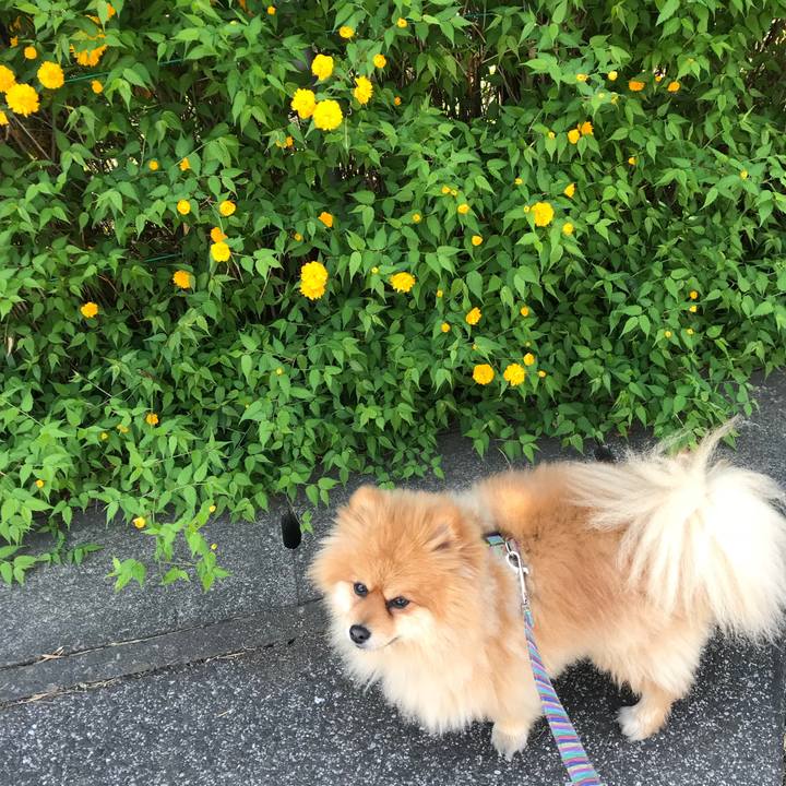 E5cdcff7 c7f8 4327 9065 57b56e0dbd12 1523322756730