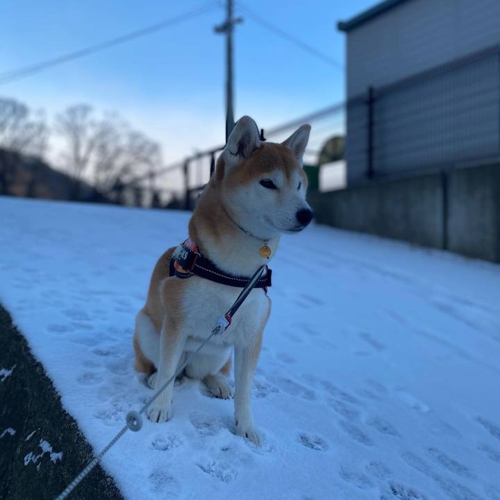 E5cdeec7 f773 4445 a0d8 b6ad5892af89 1607992359365