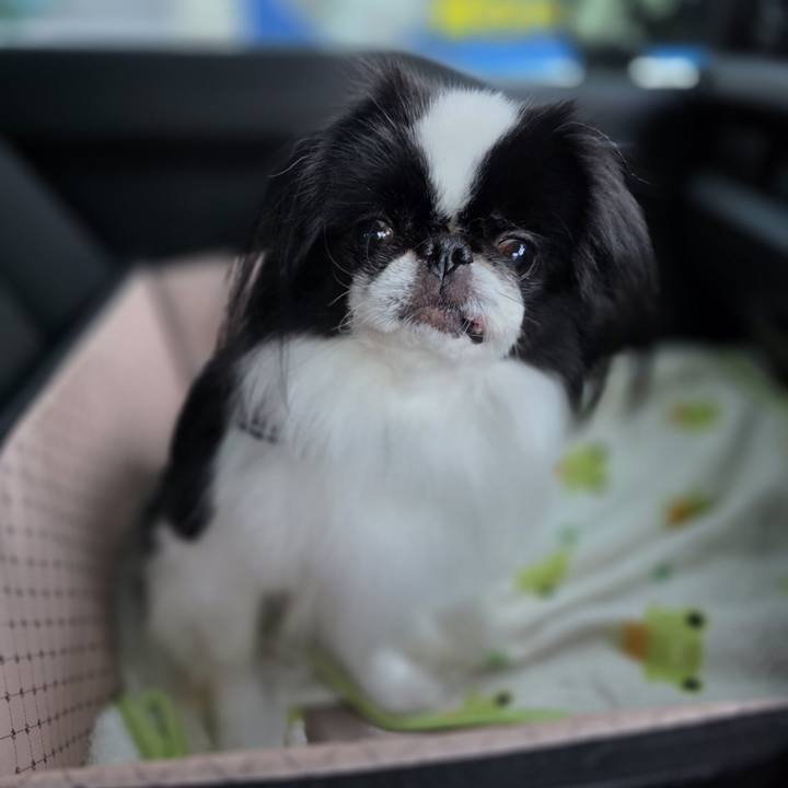 E5cdef25 3771 4036 8dba 8811c5891044 1766755818997