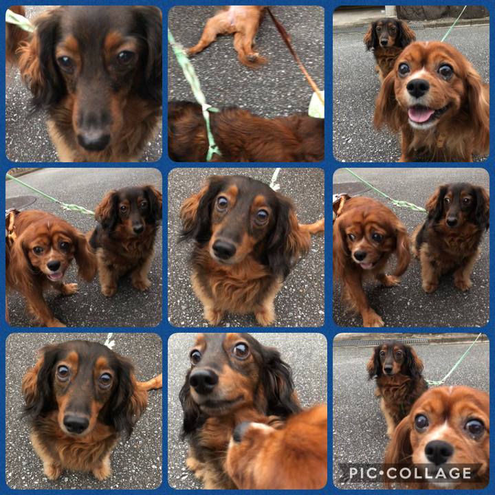 E5ce331e 7173 4b55 86d5 ee1f9a177497 1601721177994