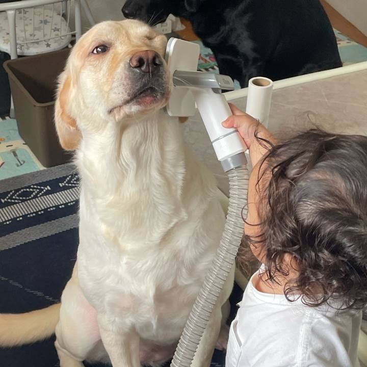 E5ce62f1 ef30 4a4b bc9e 49c2c4c51ce0 1758630828158