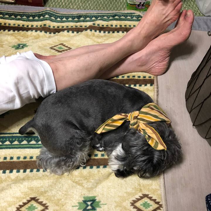 E5ce90a1 f786 4d44 8f7b 275ce95a7b2e 1656077540595