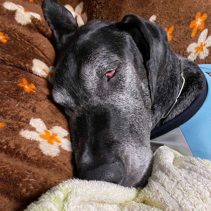 E5cea0b2 5ad7 4e9f 9085 9fc0989faeab 1649114250664