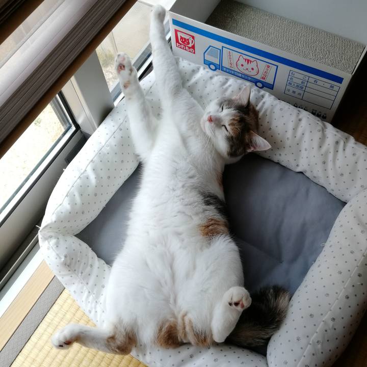 E5cea7d1 9ddb 4aba 9bab 671dbeca94d8 1561088609643