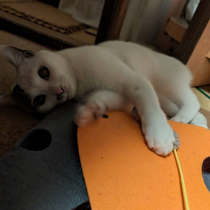 E5cec418 28e0 478a 97ee 7bb904117328 1711946462204