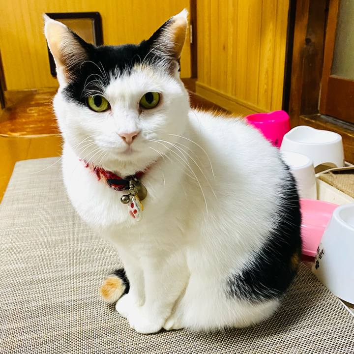 E5cee0d4 b15c 474b b37d dc9bb9f2cf6e 1743768602327