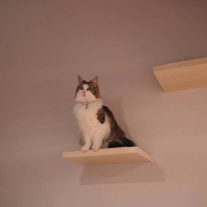 E5ceedbe 85ce 4082 be1a 053c0896809b 1593009975503