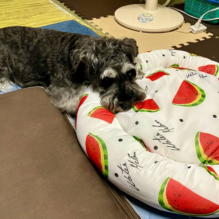 E5cf08d9 3165 46d0 8b42 8e9f7e603c57 1722171662567