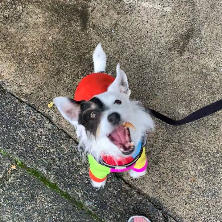 E5cf0fa3 6433 4936 b395 a4b5f5c1db2e 1679550809216