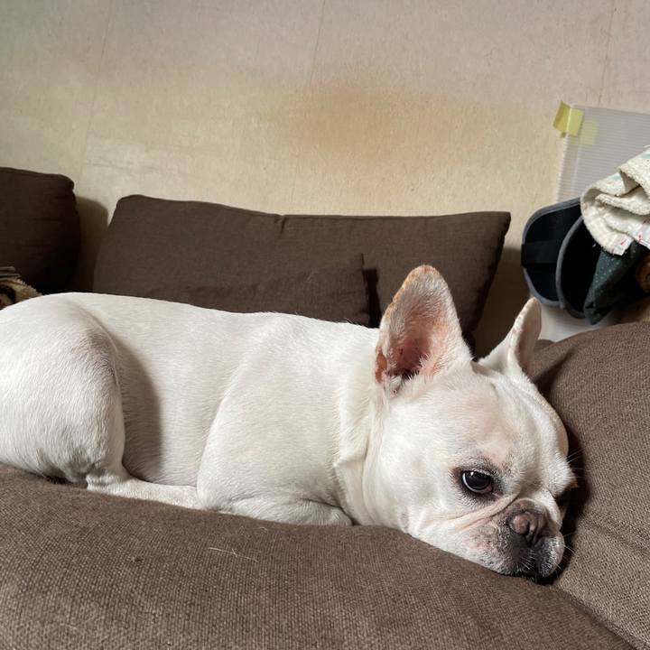 E5cf2113 52b5 40ed 806a efdca829046b 1758949138264