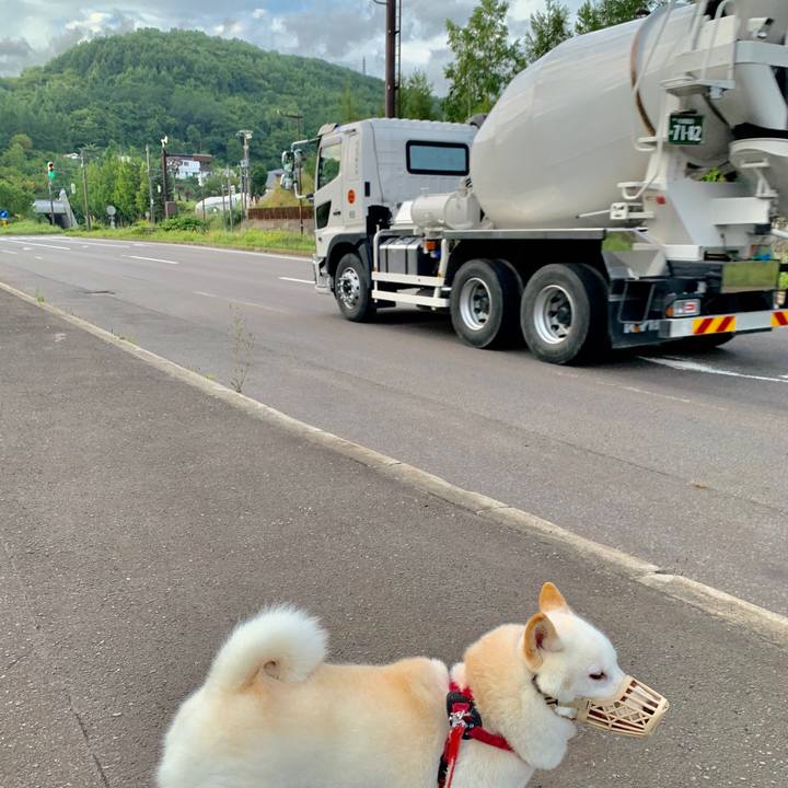 E5cf35d6 f99c 4007 b73f 14bf15b79132 1568412234073