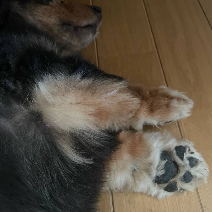 E5cf800d 1709 4cf2 9cf9 c6b623ac082d 1753647382760