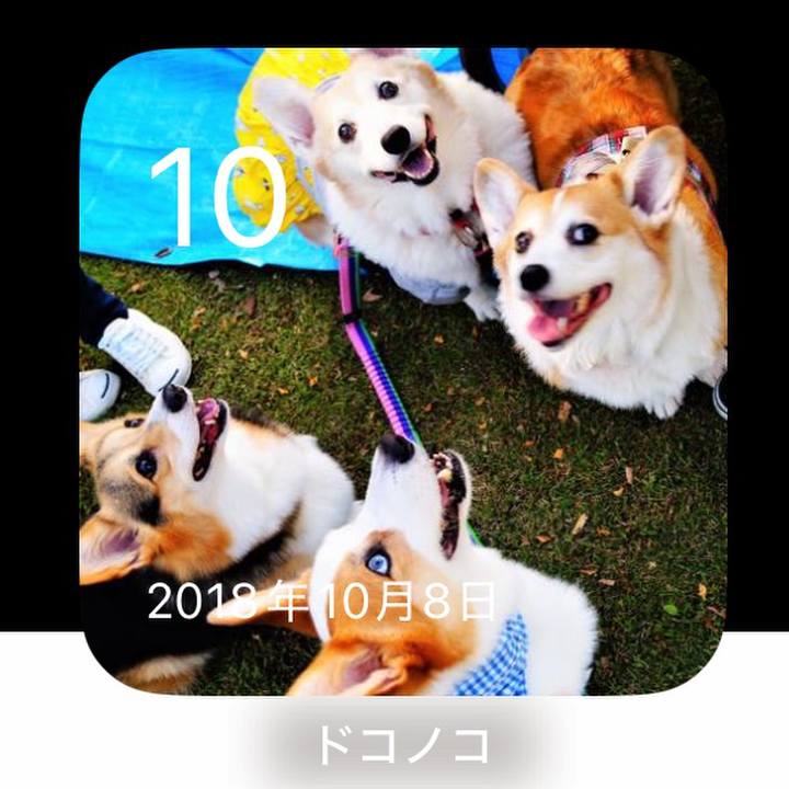 E5cf868e ed34 4c2e 9a9d 211e001953da 1760066872607