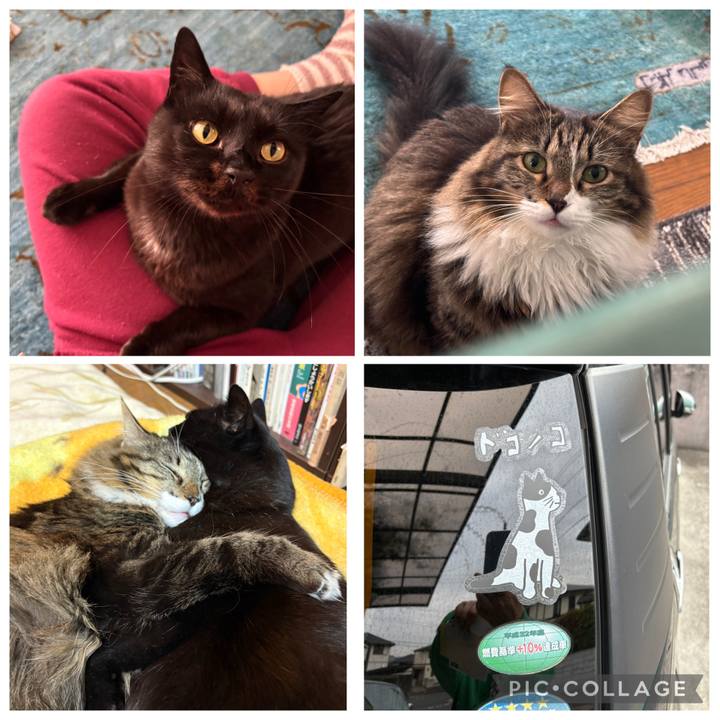 E5cf88bc 4551 4a73 a2c3 1ad959a8f745 1766014502699