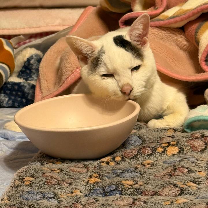 E5cfa074 3078 4141 9719 74145f75b381 1770470383743