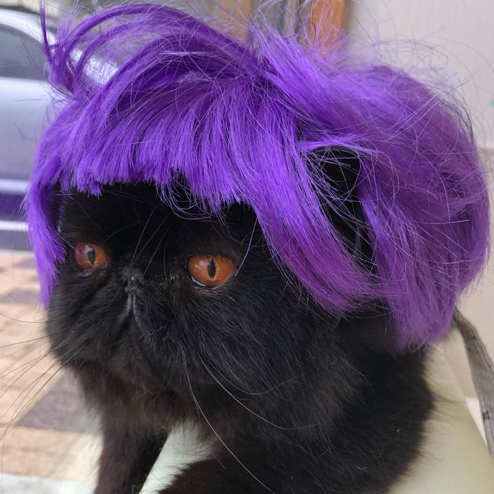 E5cfcb1f 504c 4e94 b46d 655d96d73956 1571488558359