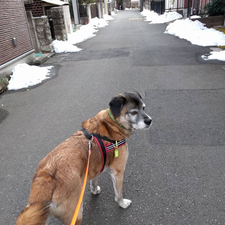 E5cfd509 146c 4059 b077 b2d08524a000 1517463978039