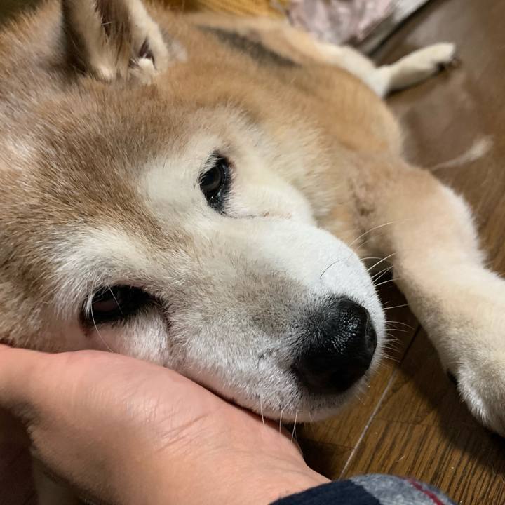 E5cfe8b1 cd01 4e14 94e6 0c5539cacd92 1634125692858