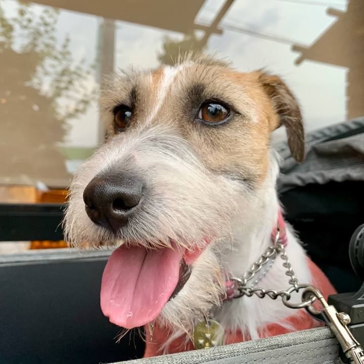 E5d00859 a8ec 48fc a367 0baa9746a292 1623762444858