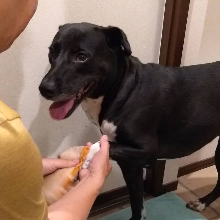 E5d019e5 dc1c 474d 8eb4 e6e583539e07 1628637965793