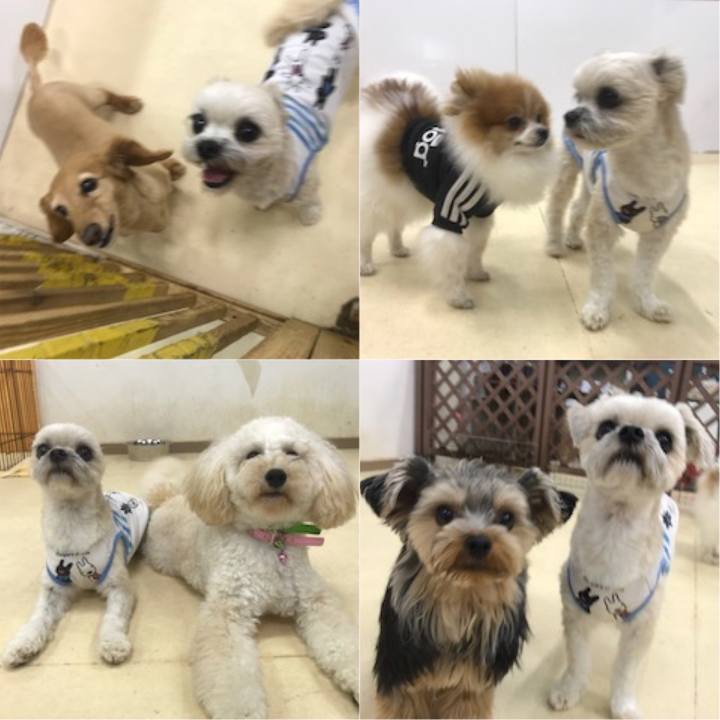 E5d0206f f72b 4dbd a3d2 abed4dce9c6f 1526645868345