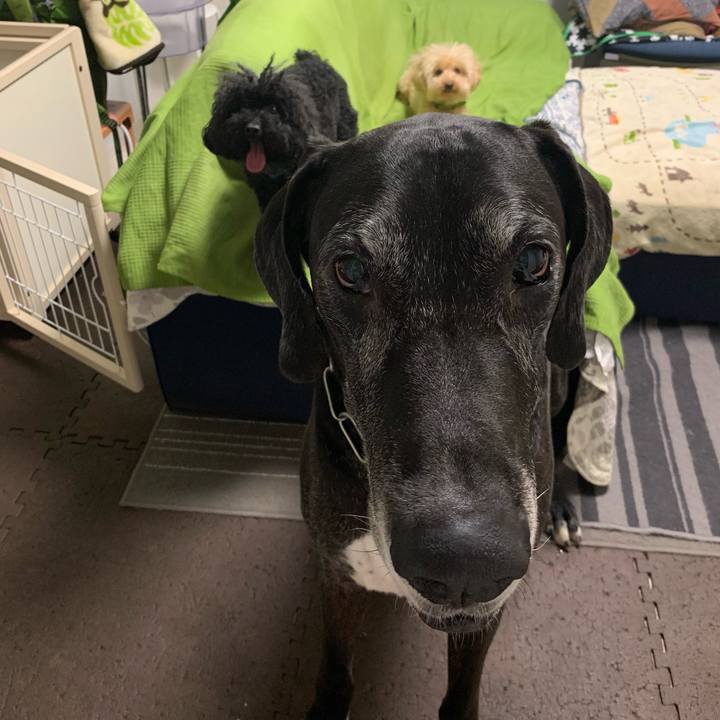 E5d05bd1 41ce 4744 9347 11d3847e3720 1560073565346