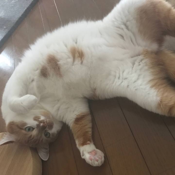 E5d09323 329e 4da1 8a52 f9af36b100d8 1558909871846