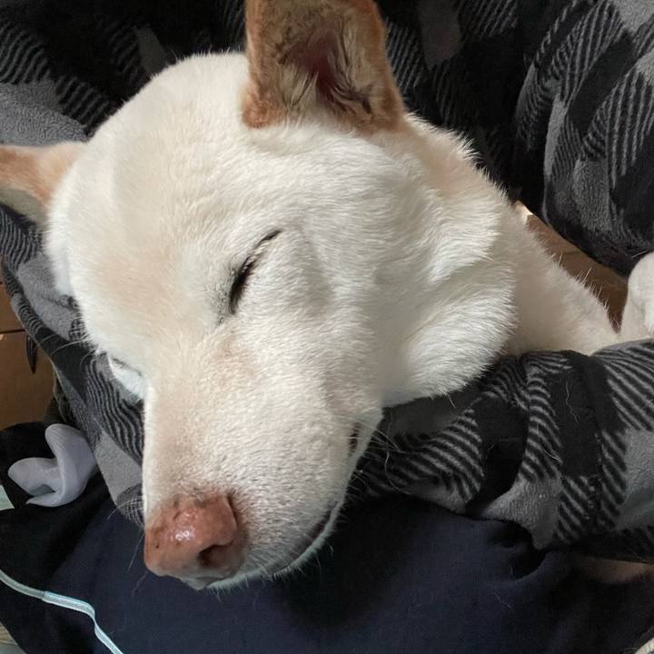 E5d09e6b a58c 478a 9427 736aa74d52f3 1636773640238