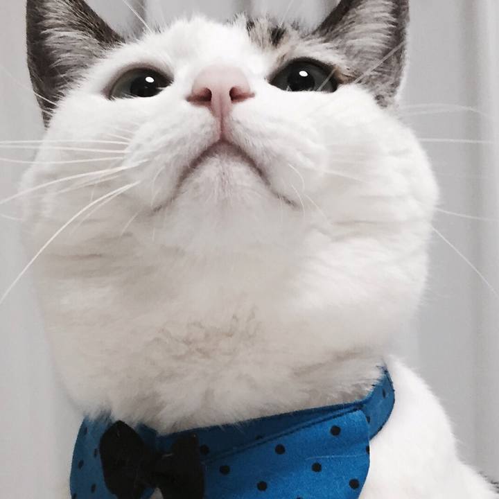 E5d0d435 b056 429a 8e8d 685cdee348a7 1508334402217