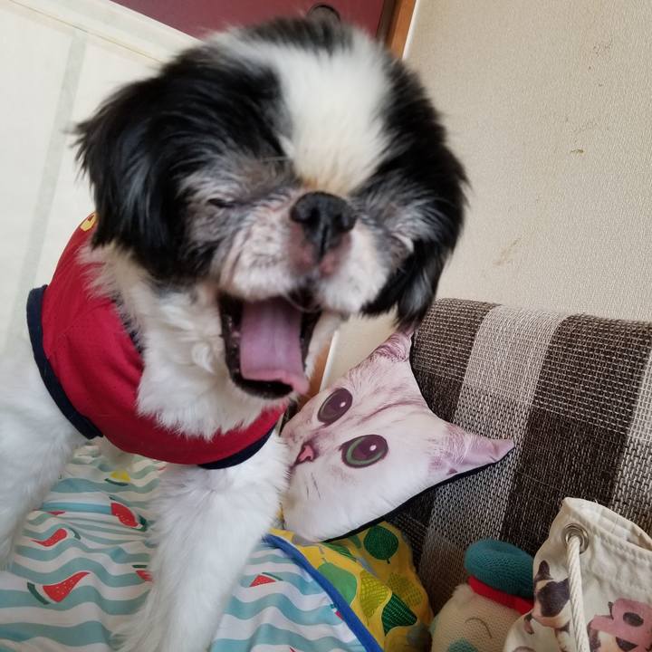 E5d0dcef 3855 490f a78f e0c29ba2390e 1627201726799