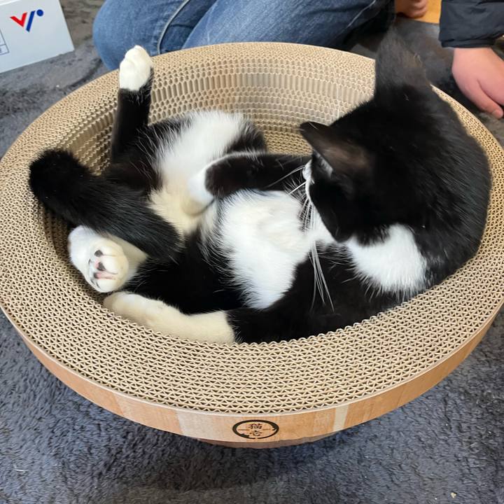 E5d0fdd4 276a 4812 bd27 6e30d803b34c 1672366982823