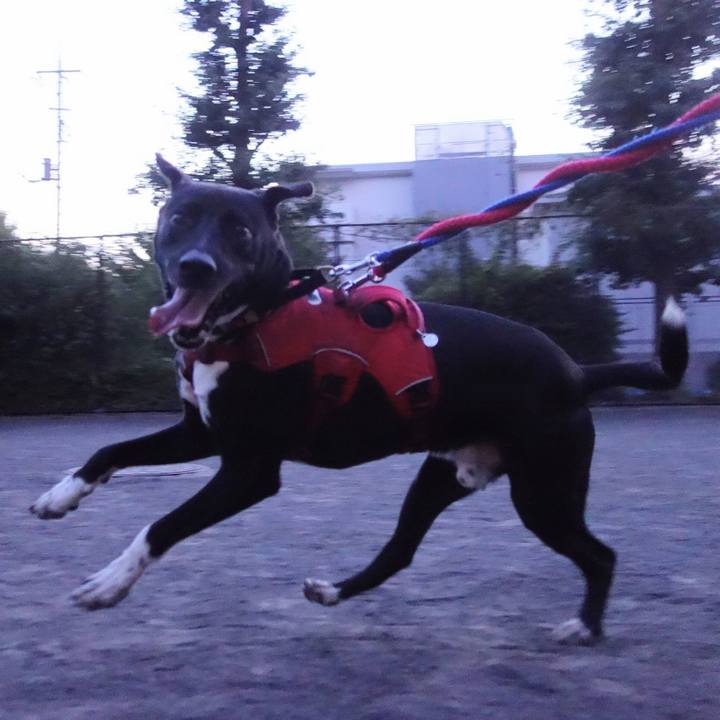 E5d10795 bfcf 483e 9e05 c2919d2b0f06 1597920528804