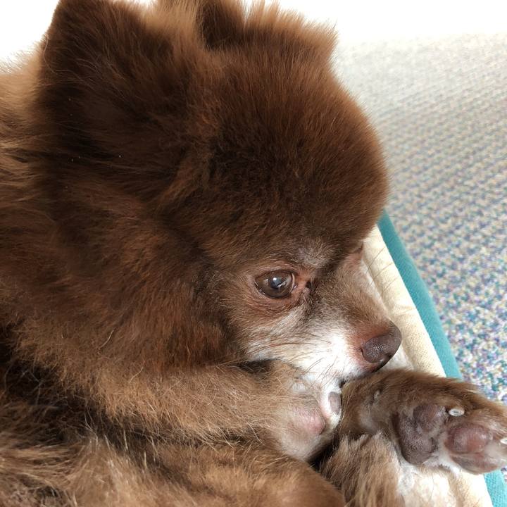 E5d13861 c9d6 4002 baef 28513ab9c17e 1549594576302