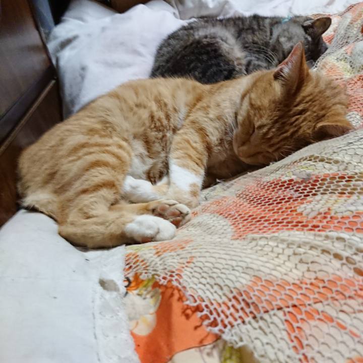 E5d13e99 4f87 44d1 985d 9410b3360fbe 1570712233696