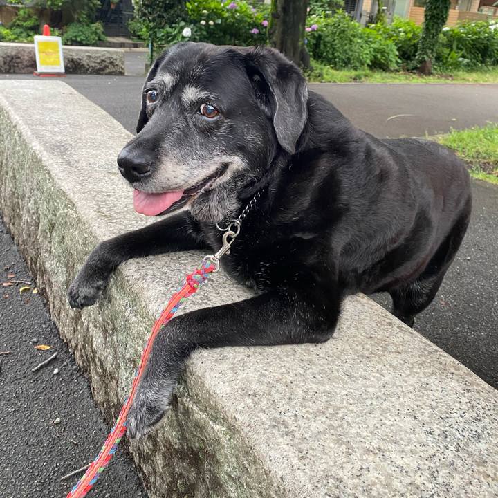 E5d1456c 24e0 4791 944e ad8860cf32c4 1686471591213