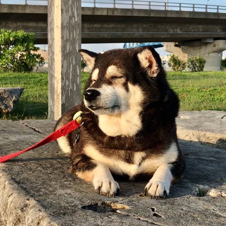 E5d15024 3d82 4c23 9ef2 f3099a9c7f0b 1647767544719