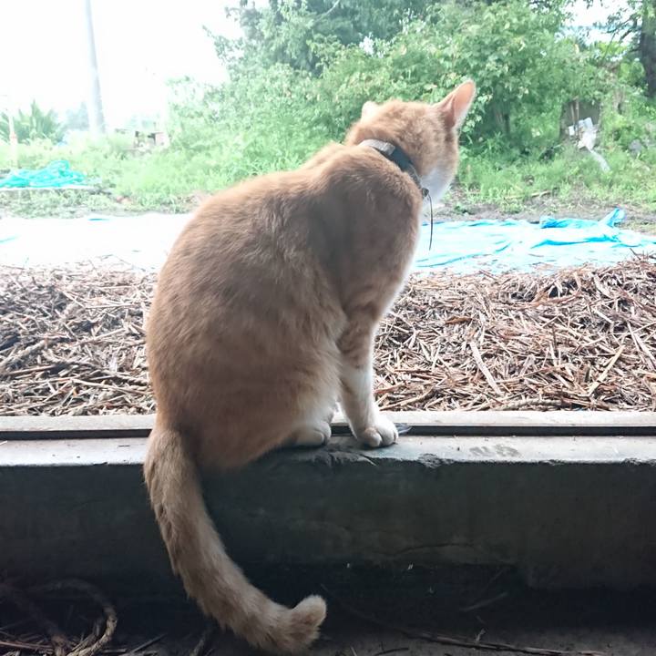 E5d1e457 6293 41be a169 8a5cd2f15a9c 1594373788646