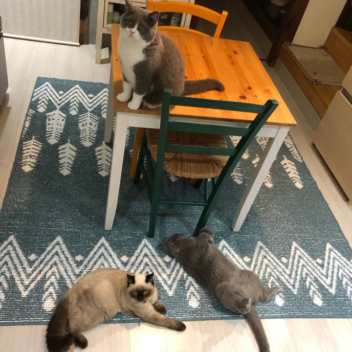 E5d2023d 587f 489d a20d be19460fec05 1595670997757