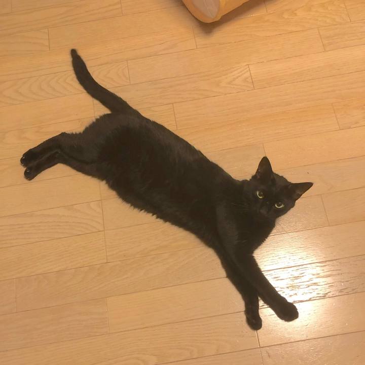 E5d22eab 93f3 4d34 b0b1 5e1e4fdc7544 1558961042373