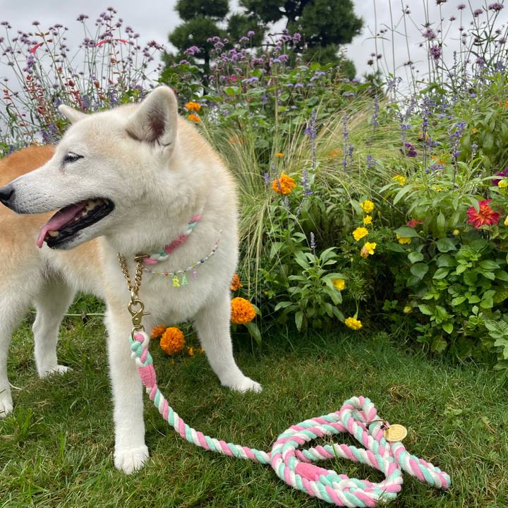 E5d28408 32ae 4bf1 814f 9e06a2712d22 1664027802135