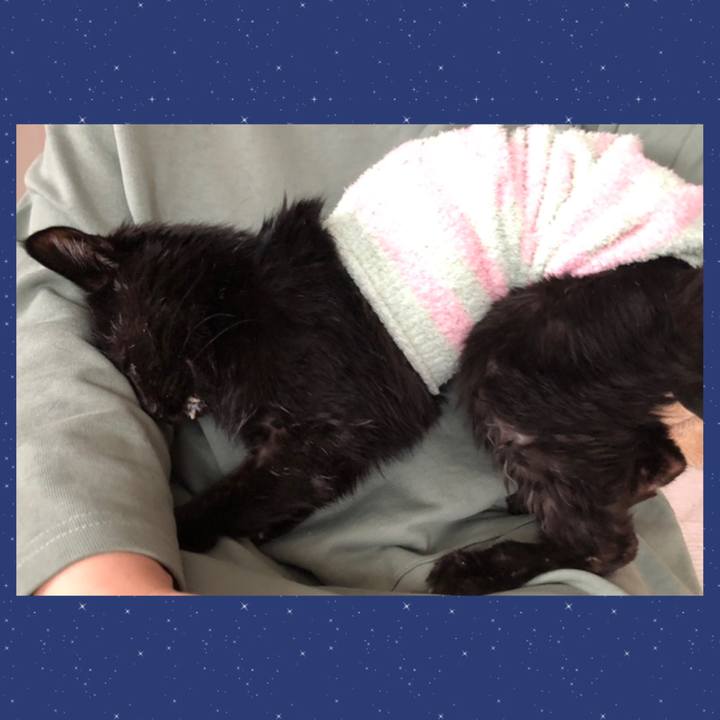 E5d2bbec 5296 4083 b188 aa0e89963648 1649079611552